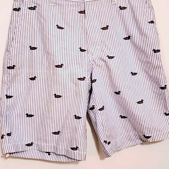 Izod Men's Swan shorts - Picture 1 of 5
